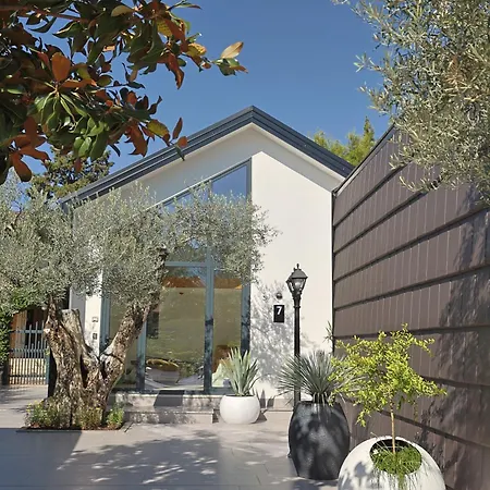 Muraga By Pikhost * Tirana