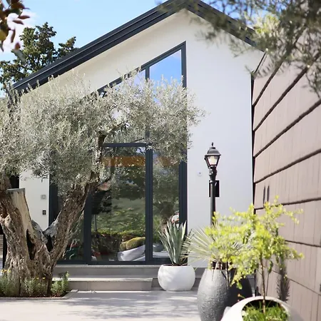 Muraga By Pikhost * Tirana