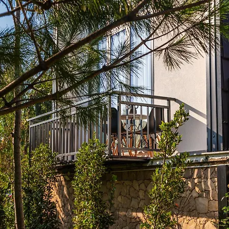 Muraga By Pikhost * Tirana