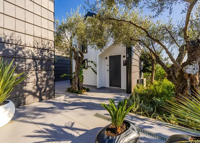 Muraga By Pikhost Tirana