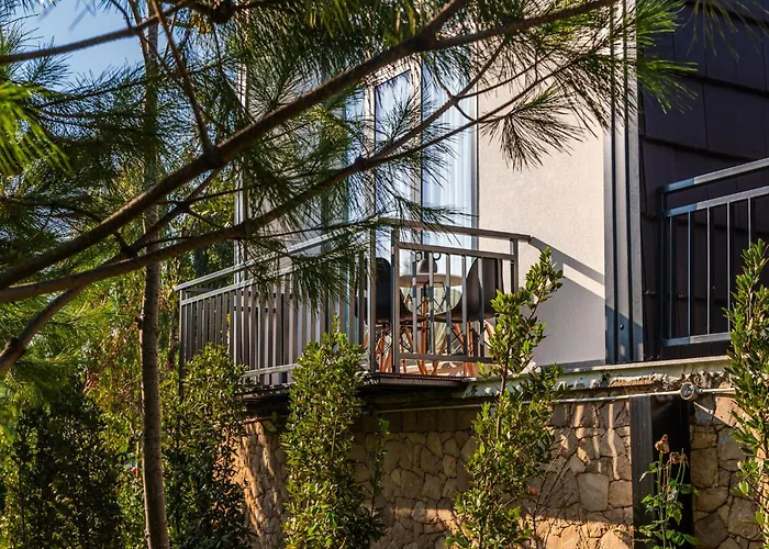 Muraga By Pikhost * Tirana