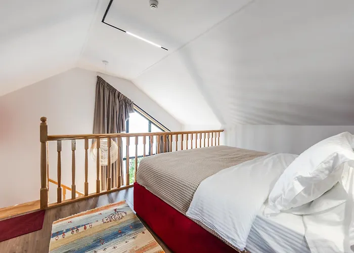 Muraga By Pikhost * Tirana