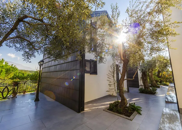 Muraga By Pikhost * Tirana