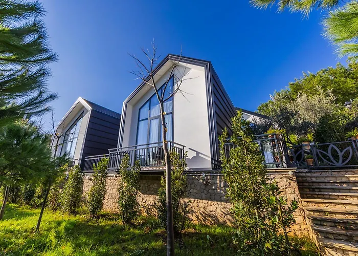 Villa Muraga By Pikhost Tirana